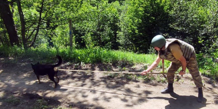 Defense Ministry: Up to 610 hectares of land were completely cleared of mines during July of the current year