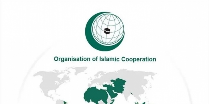 OIC suspends Sweden’s Special Envoy status