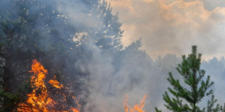 Bəzi bölgələrdə yanğın indeksi çox yüksəkdir