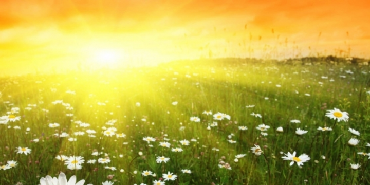 Sabah ölkə ərazisində havanın temperaturu 36 dərəcəyə çatacaq