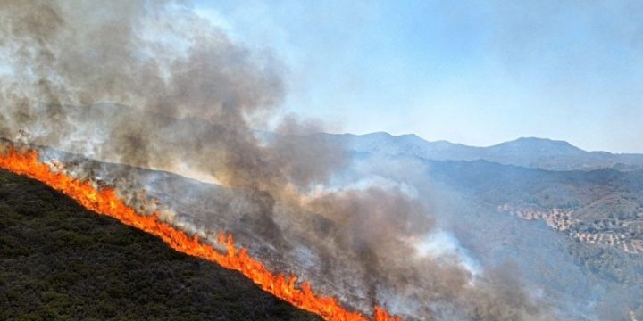 Avstriya XİN xaricə səyahət edən vətəndaşlara qeydiyyatdan keçməyi tövsiyə edib