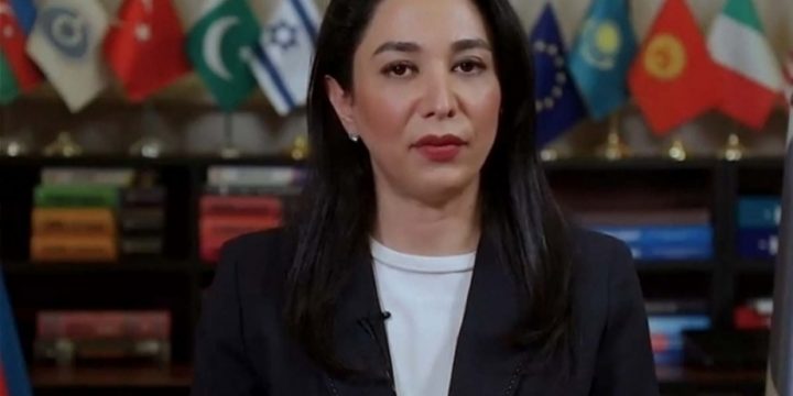 Azerbaijani Ombudsman responds to UN Human Rights Council special rapporteurs’ statement regarding situation on Khankendi-Lachin road