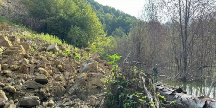 Gürcüstanın daha bir bölgəsində torpaq sürüşməsi olub