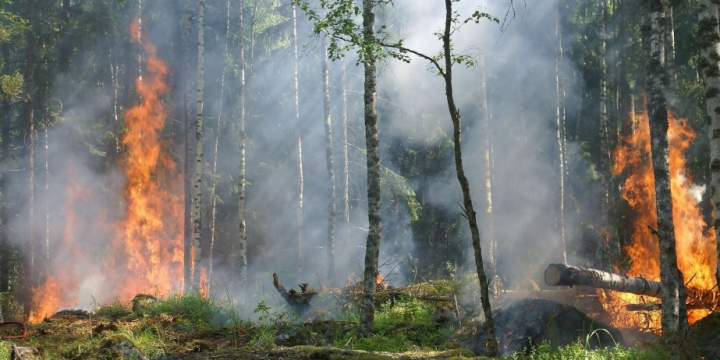 Wildfire on Maui kills at least 6, damages over 270 structures as it sweeps through historic town