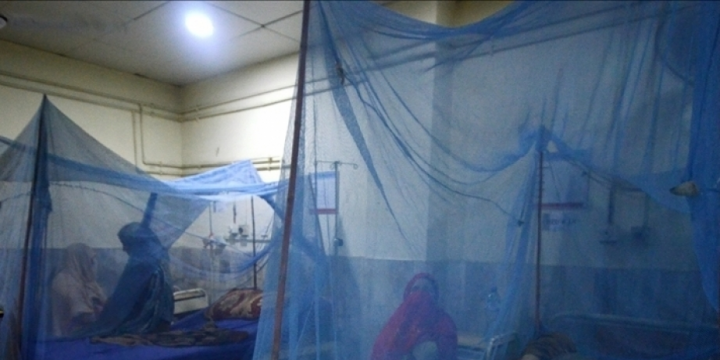 Bangladesh reports 11 more dengue deaths