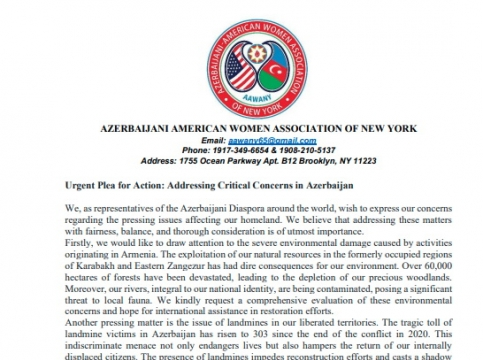 Diaspora organizations and coordination councils issue statement