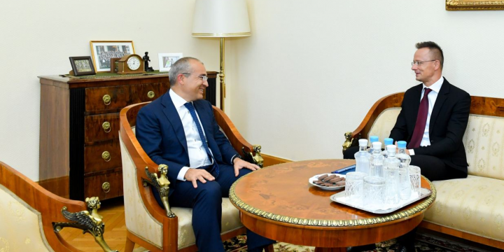 Azərbaycan Macarıstanla “yaşıl enerji” layihələrini müzakirə edib