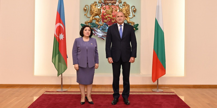 Sahibə Qafarova Bolqarıstan prezidenti ilə görüşüb 