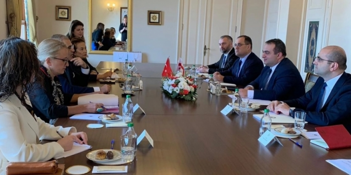 Türkiyə və Gürcüstan rəsmiləri regiondakı vəziyyəti müzakirə ediblər