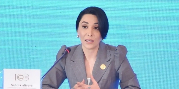 Ombudsperson appeals to international community regarding fate of nearly 4,000 Azerbaijanis missing during First Karabakh War