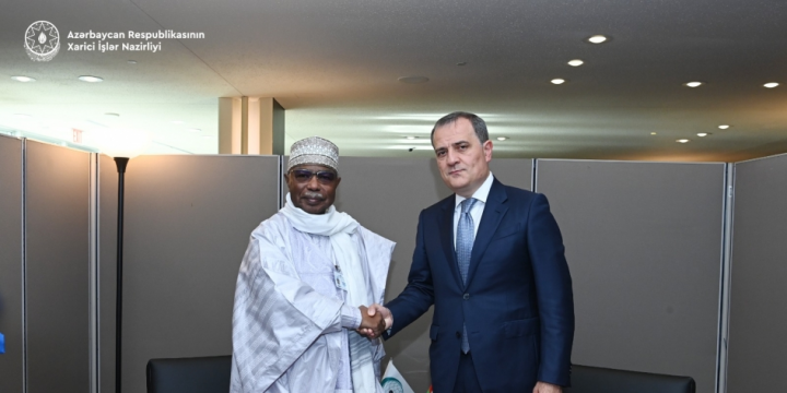 Azerbaijani FM informs OIC Secretary General about current situation in the region