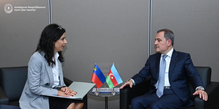 Azerbaijan, Liechtenstein discuss issues of mutual interest