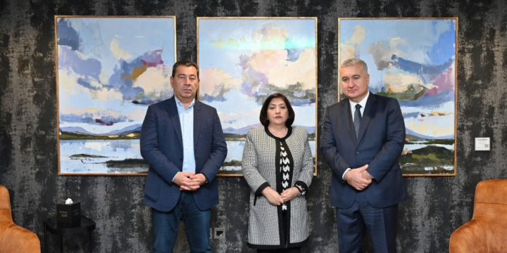 Milli Məclisin nümayəndə heyətinin İrlandiyaya işgüzar səfəri başlayıb