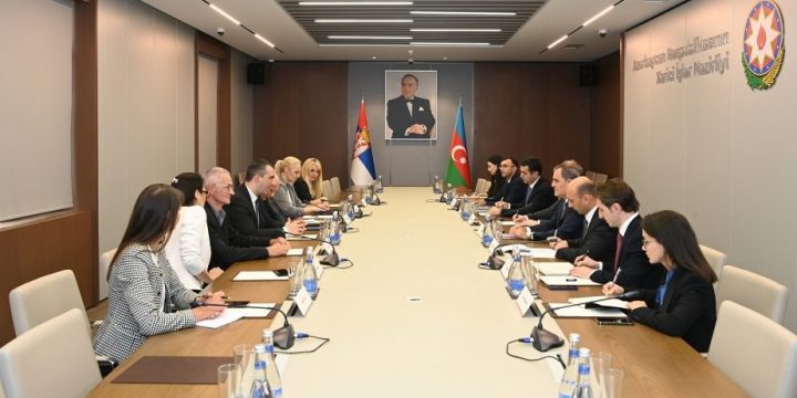 Ceyhun Bayramov Serbiya Respublikası Milli Assambleyasının sədri ilə regiondakı vəziyyəti müzakirə edib