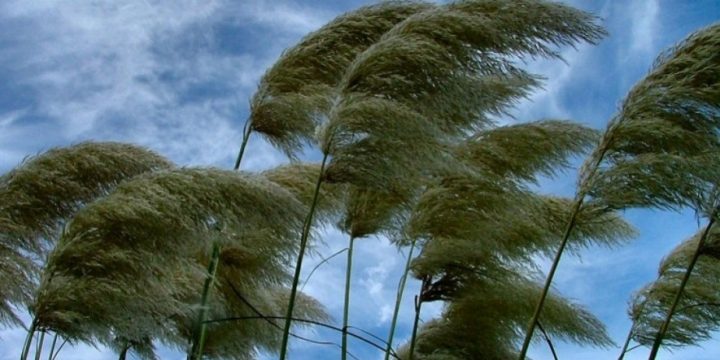 Faktiki hava: Paytaxtda küləyin sürəti saniyədə 23 metrə çatıb