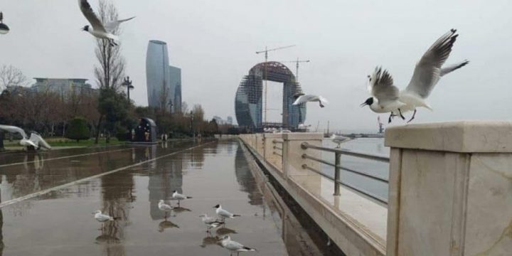 Sabah Abşeron yarımadasının bəzi yerlərində qısamüddətli yağış yağacağı ehtimalı var