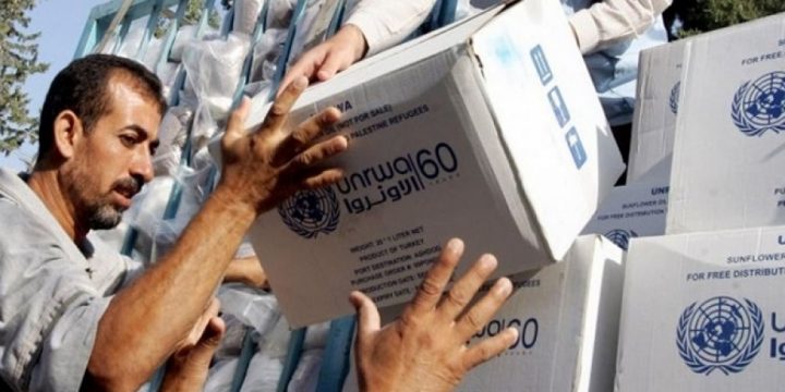 Qərbi Balkan ölkələri Fələstinə yardım kampaniyasına başlayıb