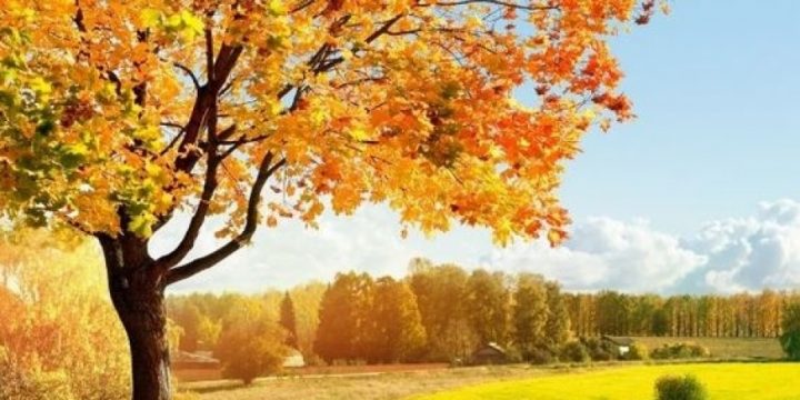 Ölkə ərazisində hava əsasən yağmursuz keçəcək