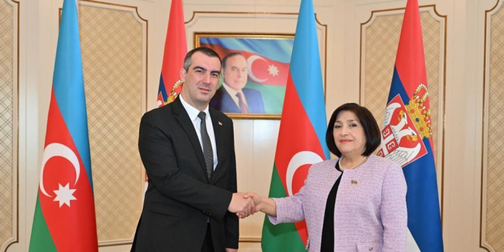Sahibə Qafarova Serbiya Respublikası Milli Assambleyasının sədri ilə görüşüb