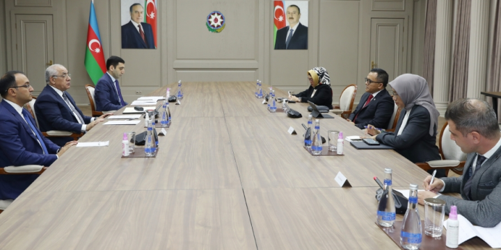 Prime Minister Ali Asadov meets with Indonesian Minister of Administrative and Bureaucratic Reform