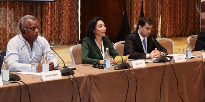 Ombudsman: Fransa kimi ölkələr sülh və əmin-amanlıq mühitinin yaranmasına mane olmaqda davam edir