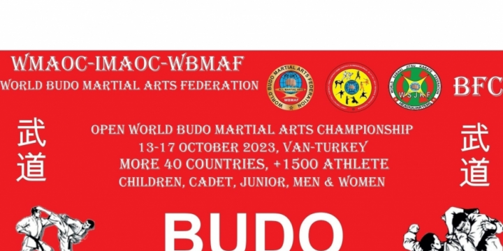 Azerbaijani budo fighters claim eight world golds in Türkiye
