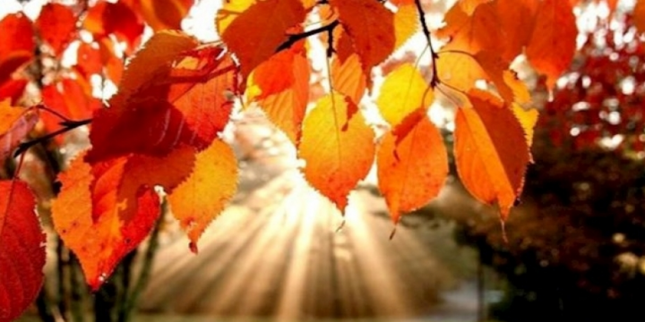 Ölkənin bölgələrində 20-25° isti gözlənilir