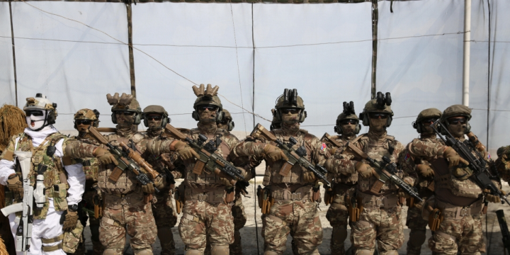 Distinguished Visitors Day held as part of “Mustafa Kemal Ataturk-2023” joint tactical exercises