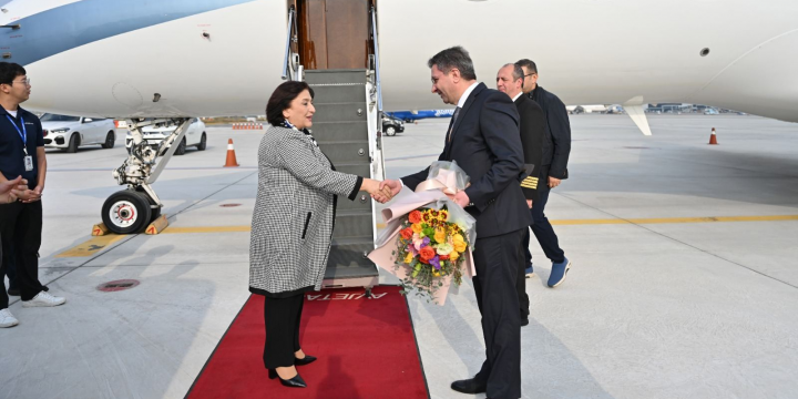 Sahibə Qafarova Koreyaya rəsmi səfərə gedib