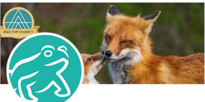 “Wild Animal Initiative”: Minalardan zərər görən heyvanlara yardım niyyəti təqdirəlayiqdir