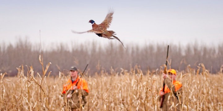 Ovçuların Ovçular Cəmiyyətinə üzvlüyü məcburi olmayacaq