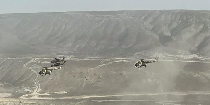 Müdafiə nazirləri Azərbaycandakı birgə taktiki təlimi izləyir