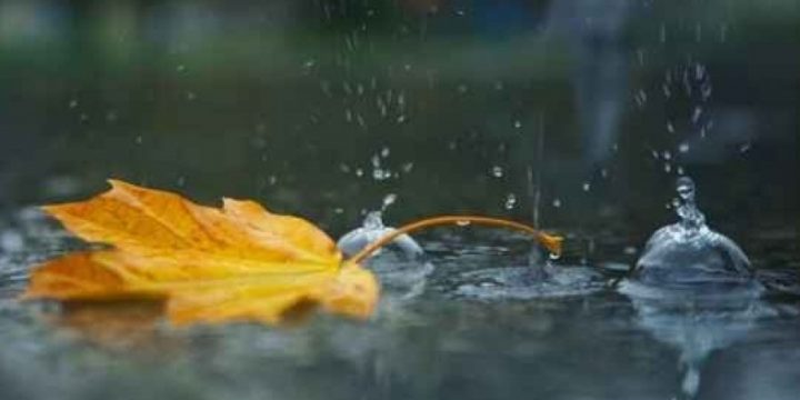 Sabah bəzi rayonlarda yağış, yüksək dağlıq ərazilərdə isə qar yağacaq