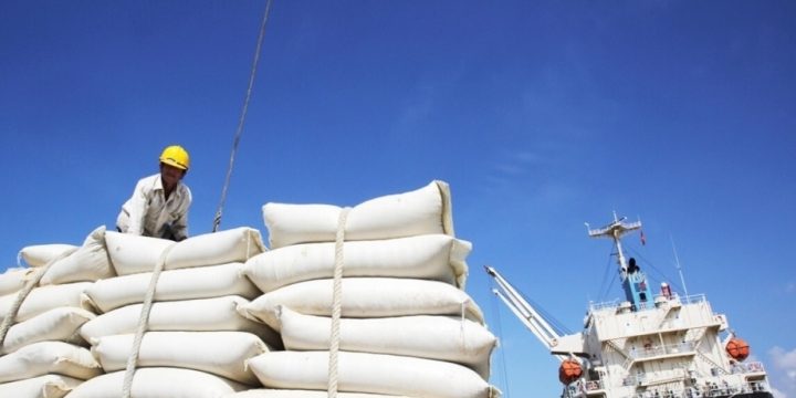 New record set in fruit, vegetable exports