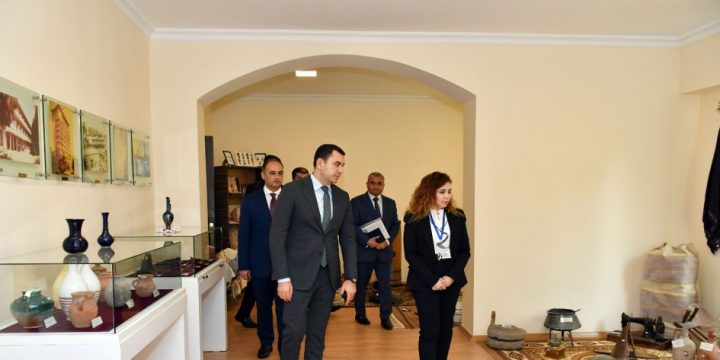 Naftalan şəhərində mədəniyyət müəssisələrinə baxış keçirilib