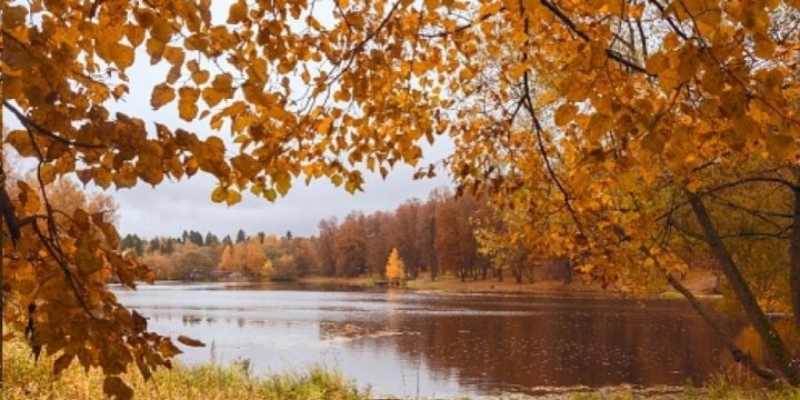 Bəzi regionlarda hava 20 dərəcəyədək isinəcək