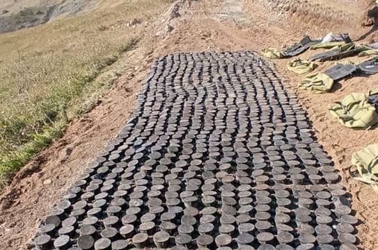 ANAMA İdarə Heyətinin sədri: Ermənistan Qarabağ və Şərqi Zəngəzurda 480 tondan çox minadan istifadə edib