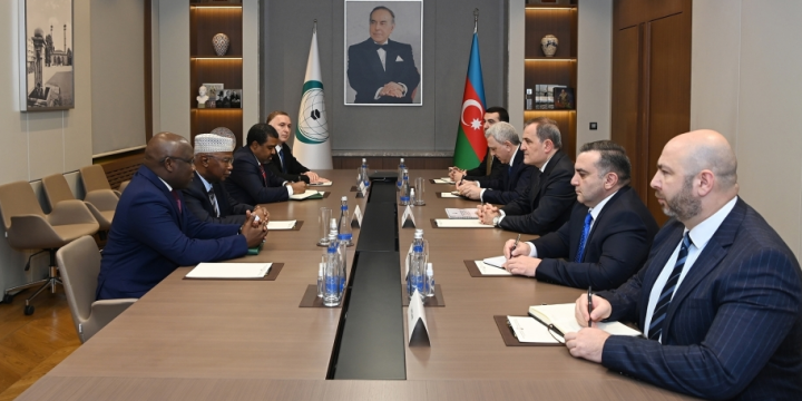 Azerbaijani FM informs OIC Secretary General about current situation in the region
