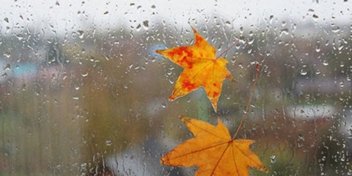 Ölkə ərazisində yağıntılı və küləkli hava gözlənilir