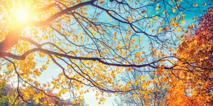 Noyabrın son günündə ölkə ərazisində hava əsasən yağmursuz olacaq