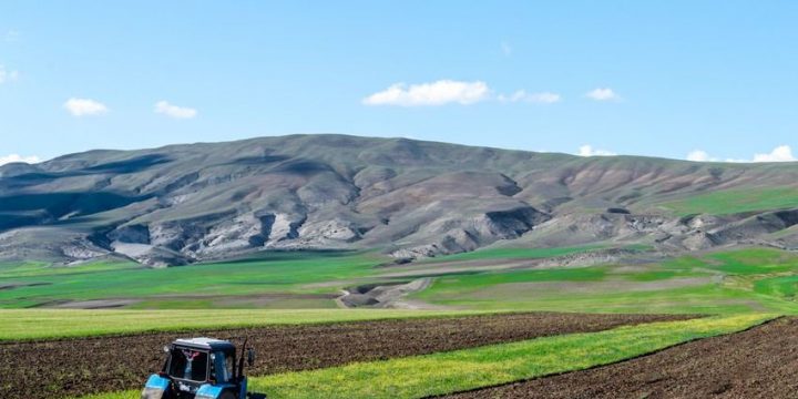 Dövlət torpaq kadastrının aparılması qaydaları dəyişib