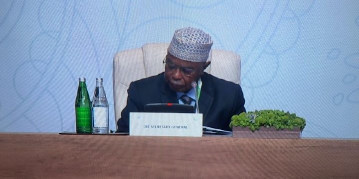 İƏT baş katibi üzv ölkələrə çağırış edib