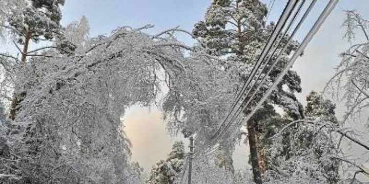 Cənubi Çexiyada qar fırtınası səbəbindən fövqəladə vəziyyət elan edilib