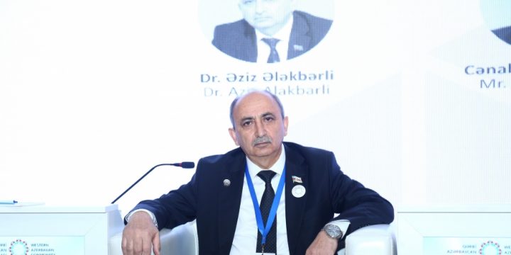 Əziz Ələkbərli: Avropa İttifaqı Azərbaycanın dini və mədəni abidələrinin dağıdılmasına etinasızlıq nümayiş etdirib