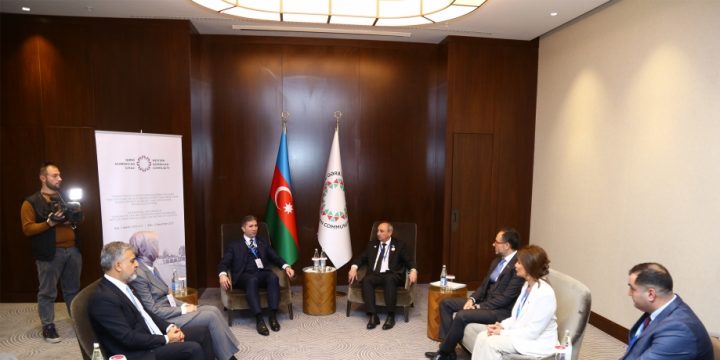 Qərbi Azərbaycan İcmasının sədri AK Parti Sədrinin müavini ilə görüşüb