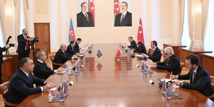 Azerbaijani PM meets with Turkish Vice President
