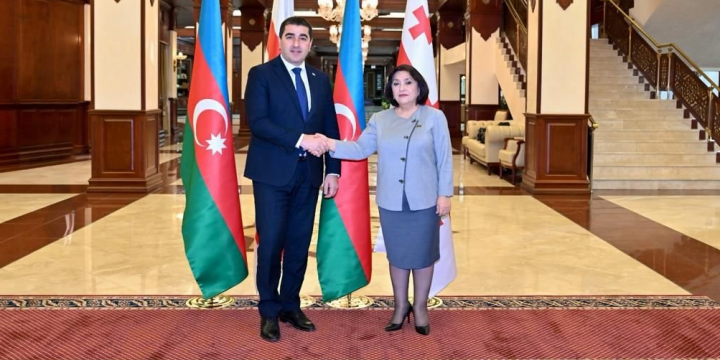Sahibə Qafarova Gürcüstan parlamentinin sədri ilə görüşüb