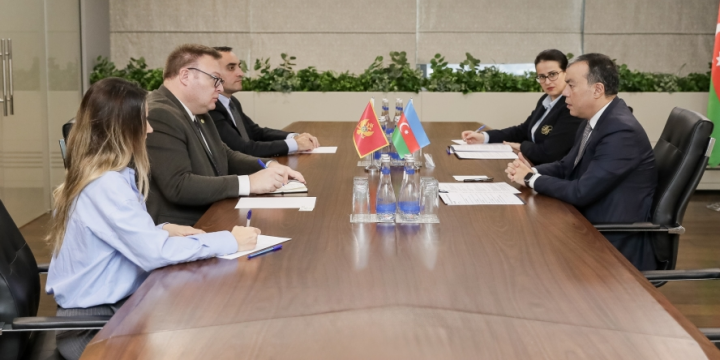 Azerbaijan, Montenegro discuss prospects for future cooperation