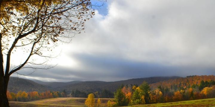 Sabah ölkə ərazisində hava şəraitinin yağmursuz keçəcəyi gözlənilir