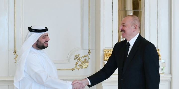 President Ilham Aliyev received UAE Minister of Investment 